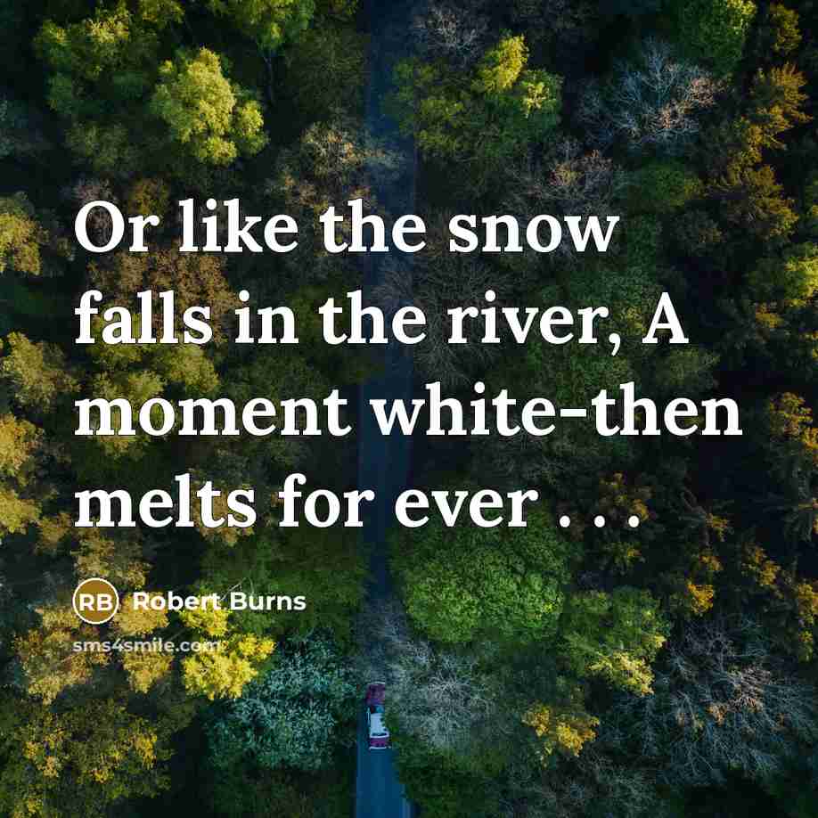 “Or like the snow falls in the river, A moment…” quote by Robert Burns
