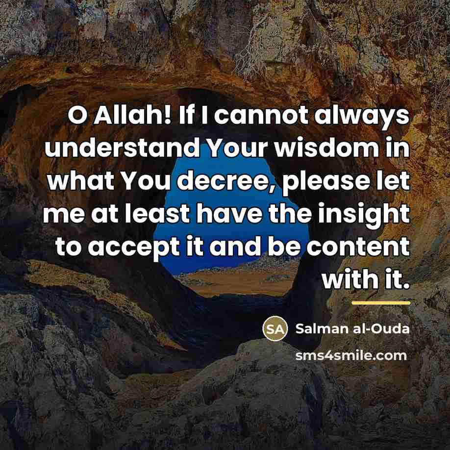 “O Allah! If I cannot always understand Your wisdom in…” quote by Salman al-Ouda