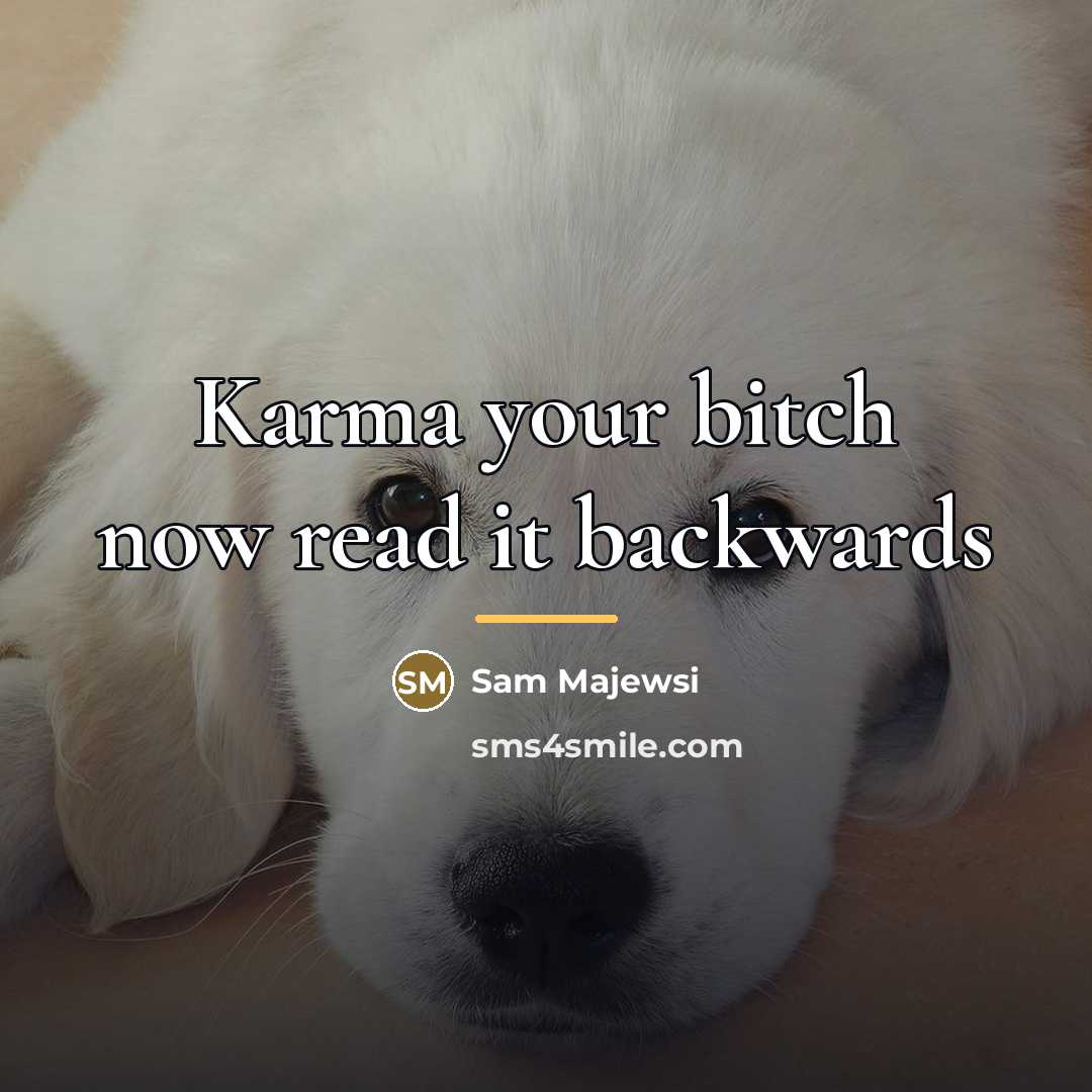 “Karma your bitch now read it backwards…” quote by Sam Majewsi