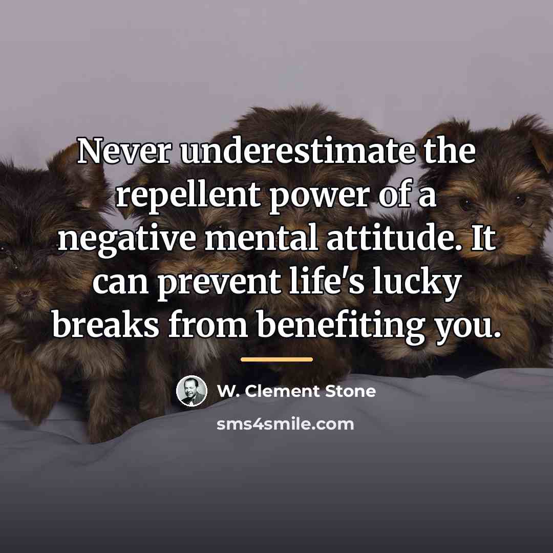 “Never underestimate the repellent power of a negative mental attitude.…” quote by W. Clement Stone