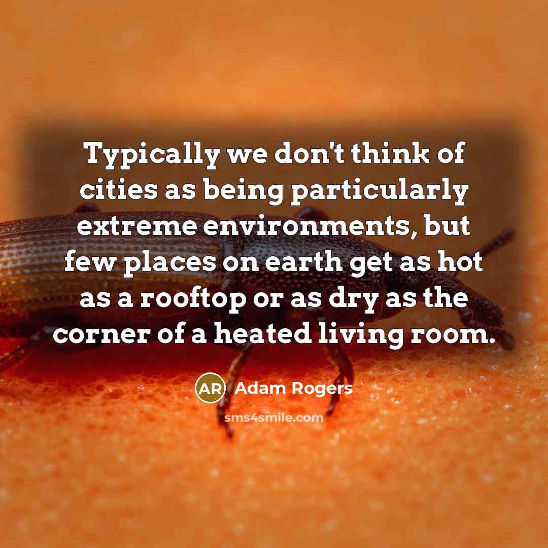 “Typically we don't think of cities as being particularly extreme…” quote by Adam Rogers