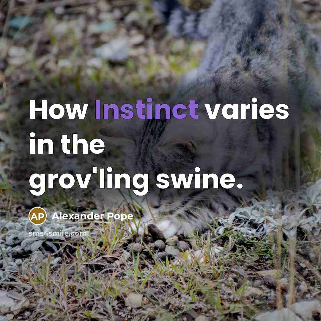 “How Instinct varies in the grov'ling swine.…” quote by Alexander Pope