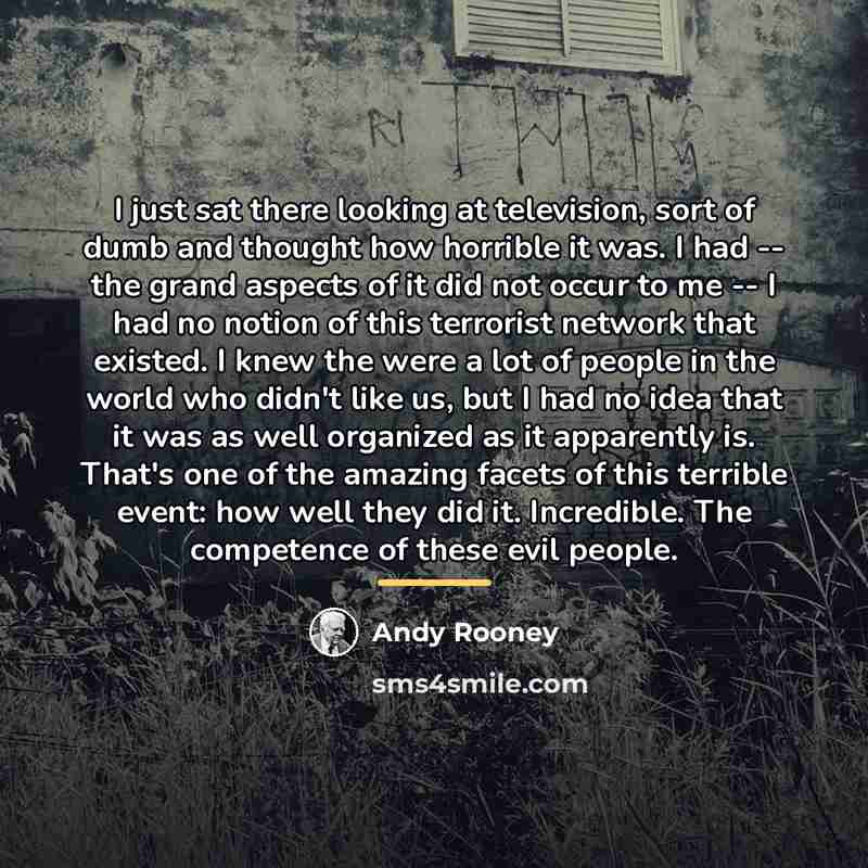 “I just sat there looking at television, sort of dumb…” quote by Andy Rooney