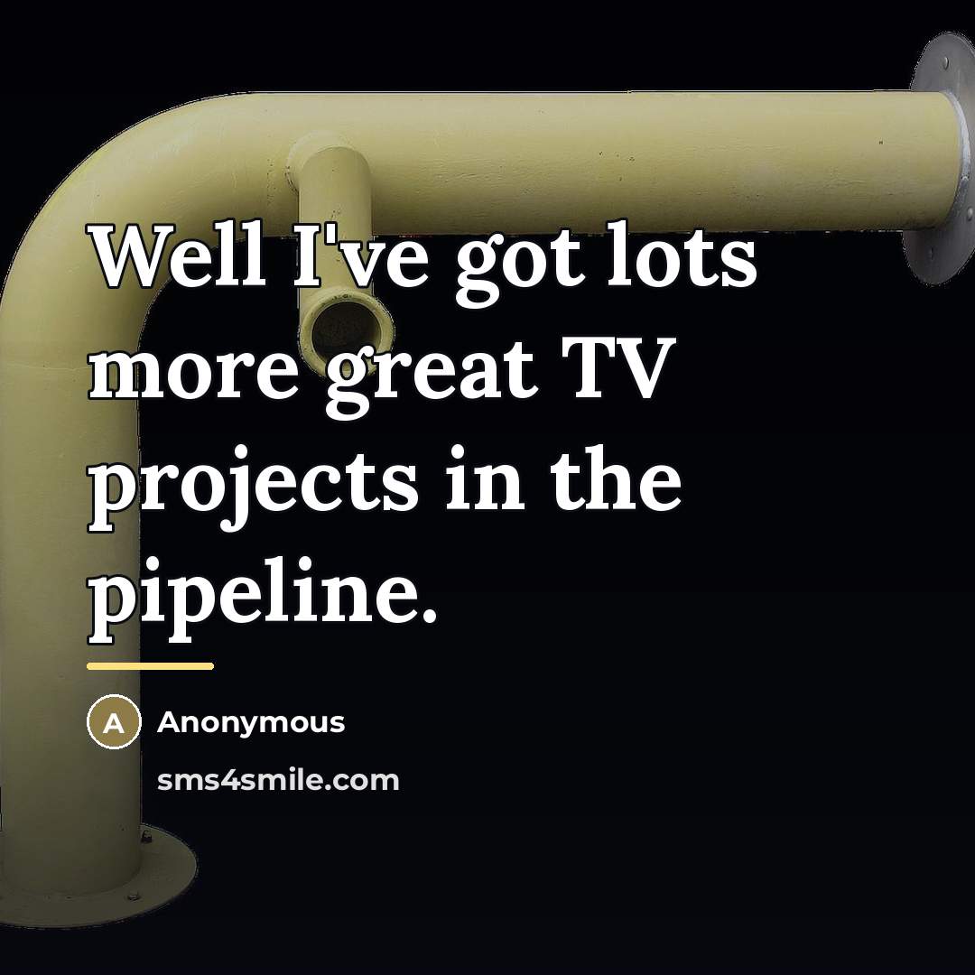 “Well I've got lots more great TV projects in the…” quote by Anonymous