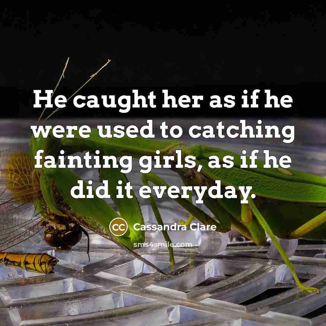 “He caught her as if he were used to catching…” quote by Cassandra Clare