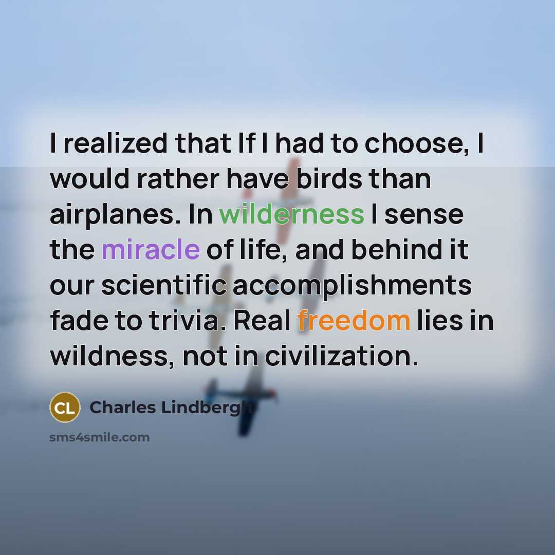 “I realized that If I had to choose, I would…” quote by Charles Lindbergh