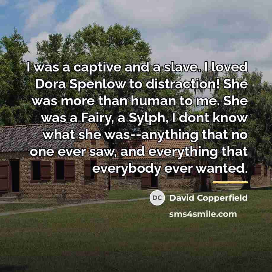 “I was a captive and a slave. I loved Dora…” quote by David Copperfield