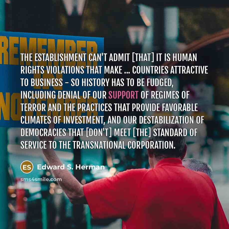 “The establishment can't admit [that] it is human rights violations…” quote by Edward S. Herman