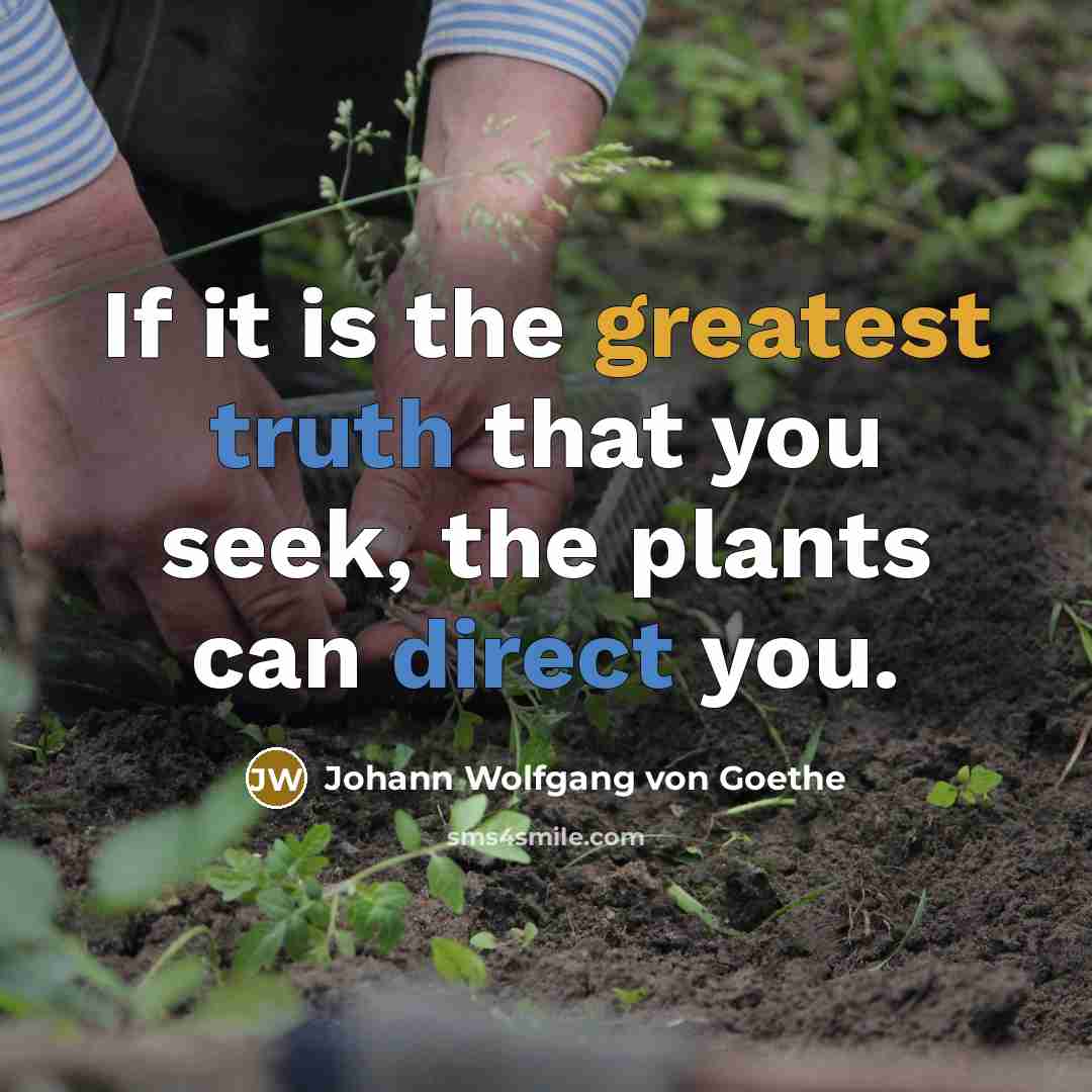 “If it is the greatest truth that you seek, the…” quote by Johann Wolfgang von Goethe