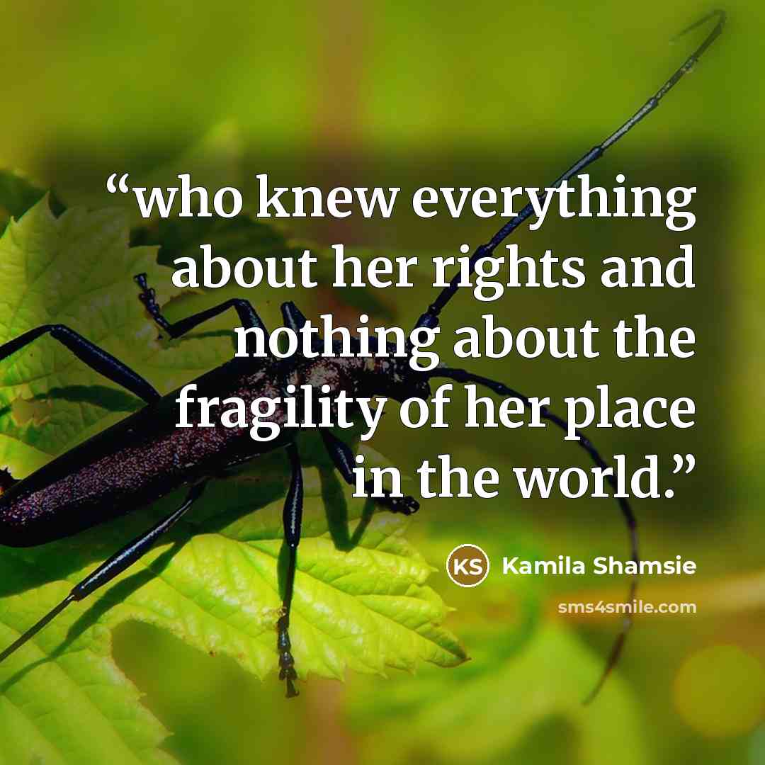 “who knew everything about her rights and nothing about the fragility of her place in the world.” quote by Kamila Shamsie