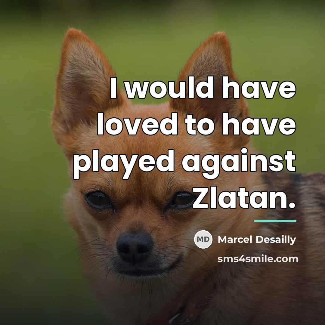 “I would have loved to have played against Zlatan.…” quote by Marcel Desailly