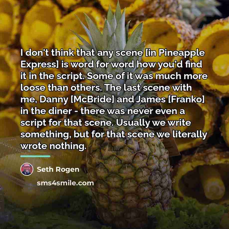 “I don't think that any scene [in Pineapple Express] is…” quote by Seth Rogen