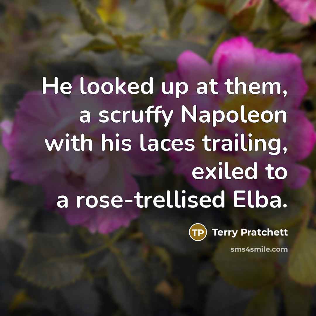 “He looked up at them, a scruffy Napoleon with his…” quote by Terry Pratchett