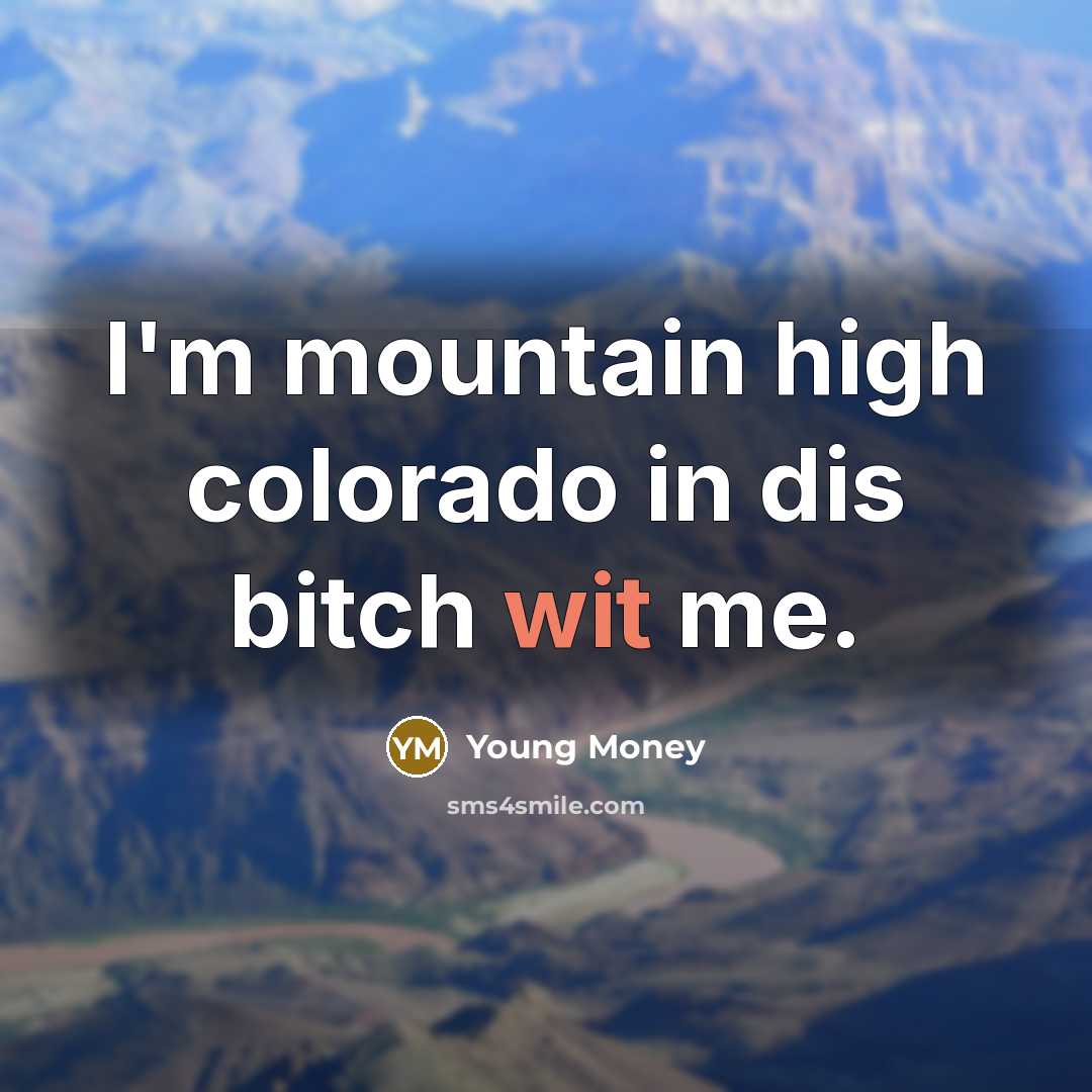 “I'm mountain high colorado in dis bitch wit me.” quote by Young Money