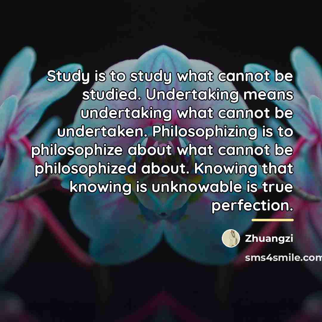 “Study is to study what cannot be studied. Undertaking means…” quote by Zhuangzi
