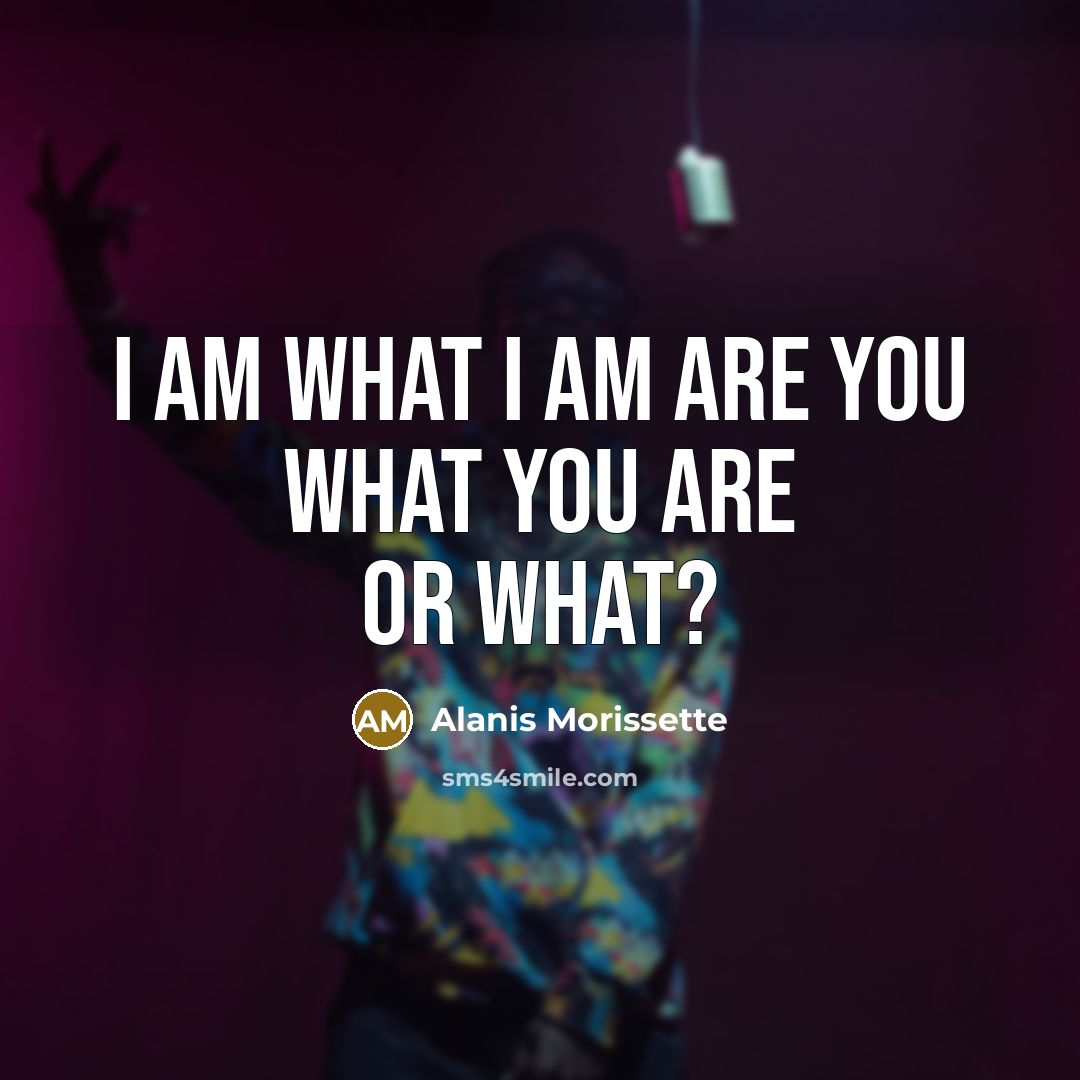 “I am what I am Are you what you are or What?” quote by Alanis Morissette