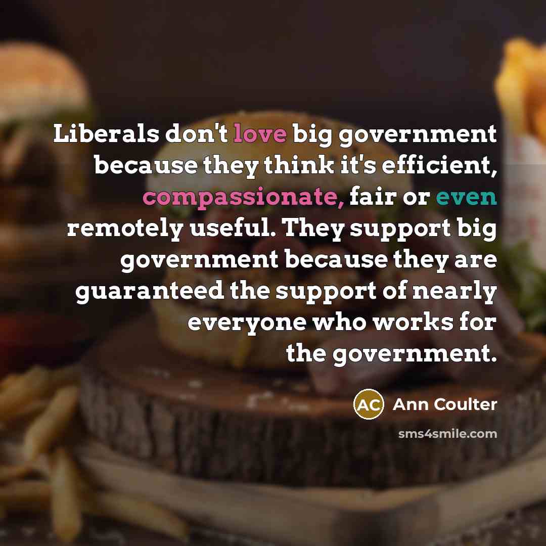 “Liberals don't love big government because they think it's efficient,…” quote by Ann Coulter