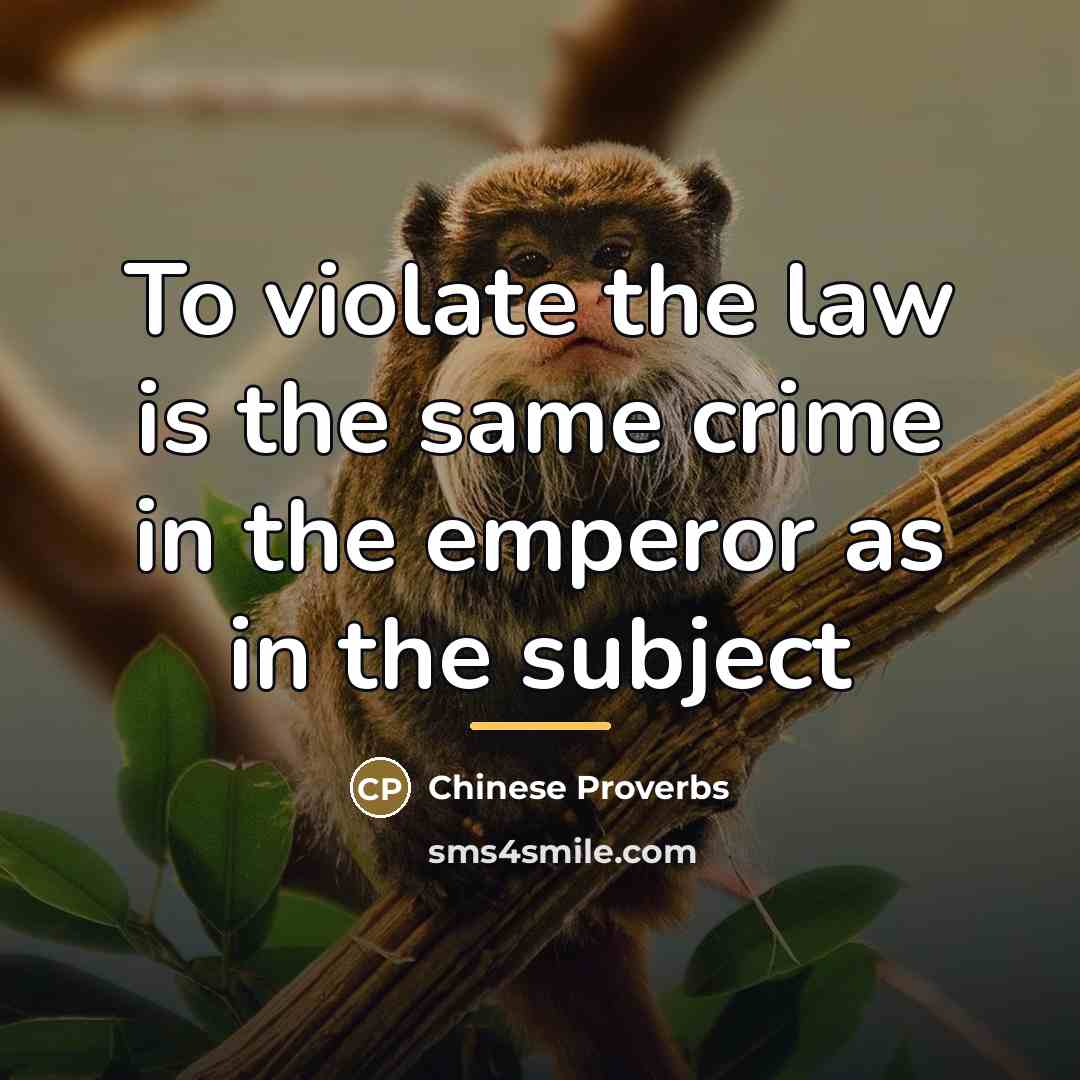 “To violate the law is the same crime in the…” quote by Chinese Proverbs