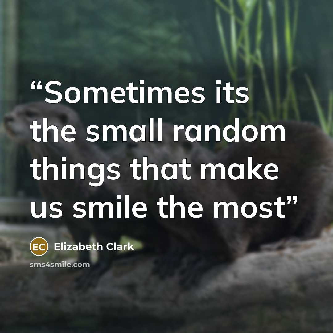 “Sometimes its the small random things that make us smile the most” quote by Elizabeth Clark