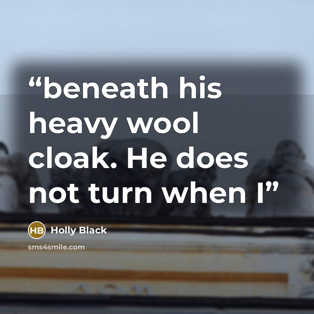 “beneath his heavy wool cloak. He does not turn when I” quote by Holly Black