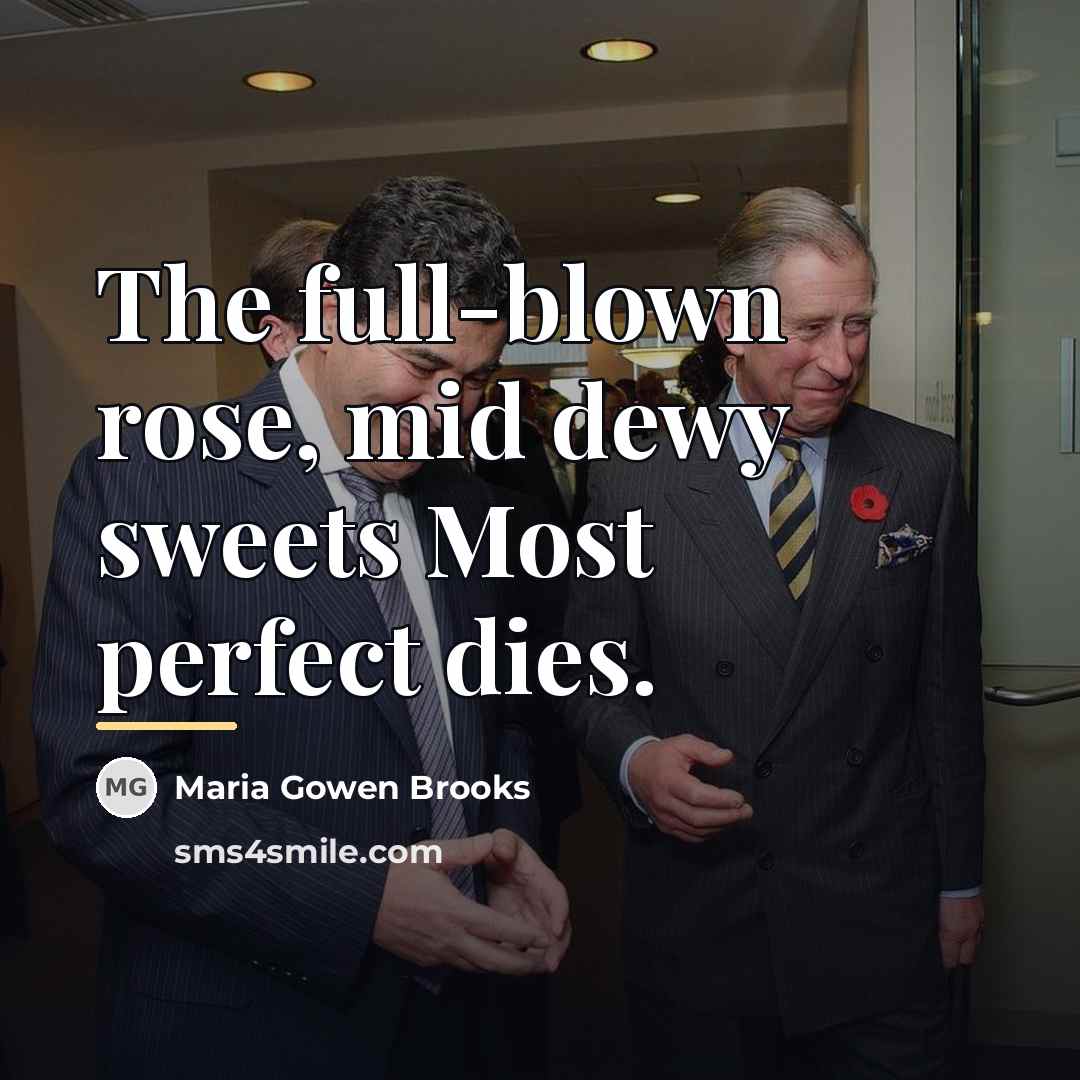 “The full-blown rose, mid dewy sweets Most perfect dies.…” quote by Maria Gowen Brooks