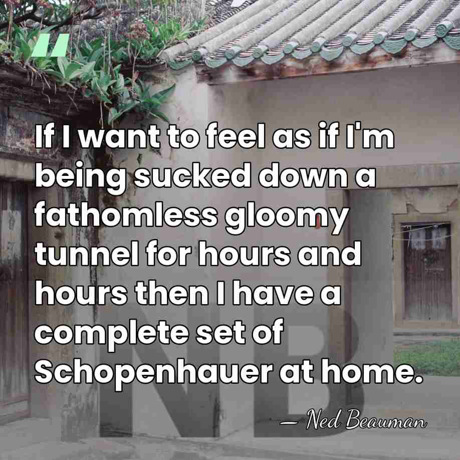 If I want to feel as if I'm being sucked down a&hellip; - Ned Beauman