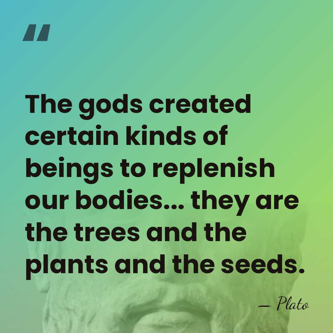 The gods created certain kinds of beings to replenish our bodies... they&hellip; - Plato