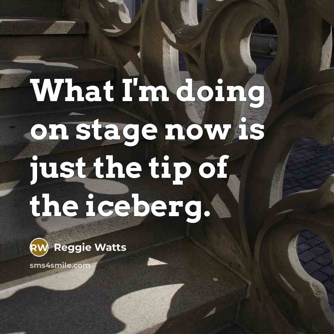 “What I'm doing on stage now is just the tip…” quote by Reggie Watts