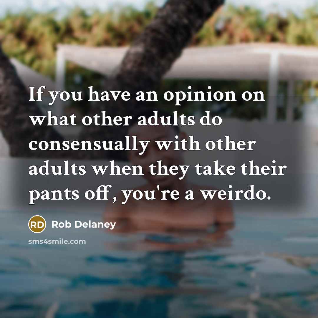 “If you have an opinion on what other adults do…” quote by Rob Delaney