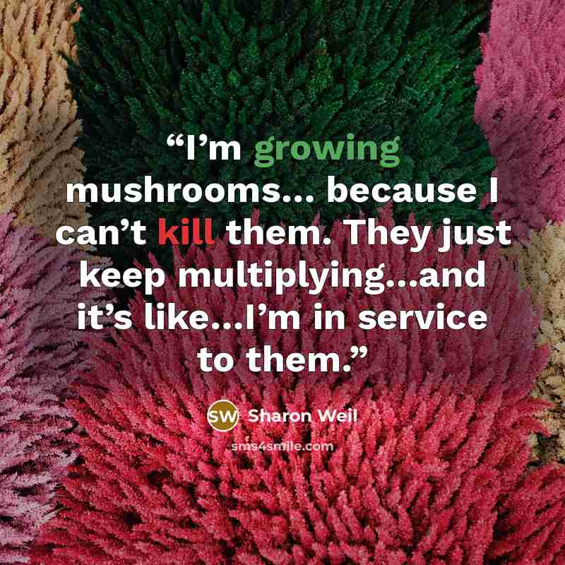 “I’m growing mushrooms… because I can’t kill them. They just keep multiplying…and it’s like…I’m in service to them.” quote by Sharon Weil