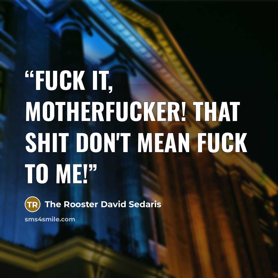 “Fuck it, motherfucker! That shit don't mean fuck to me!” quote by The Rooster David Sedaris