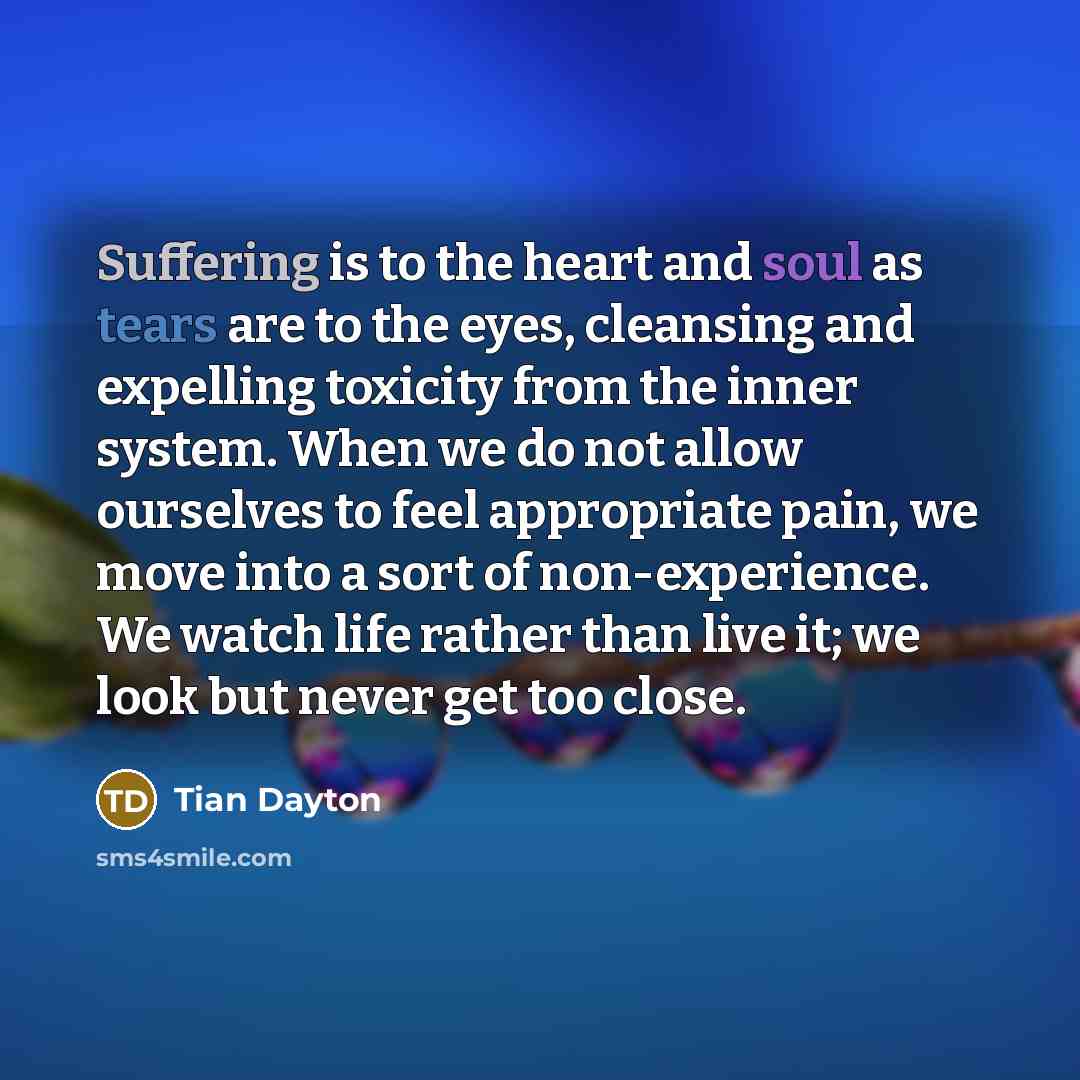 “Suffering is to the heart and soul as tears are…” quote by Tian Dayton
