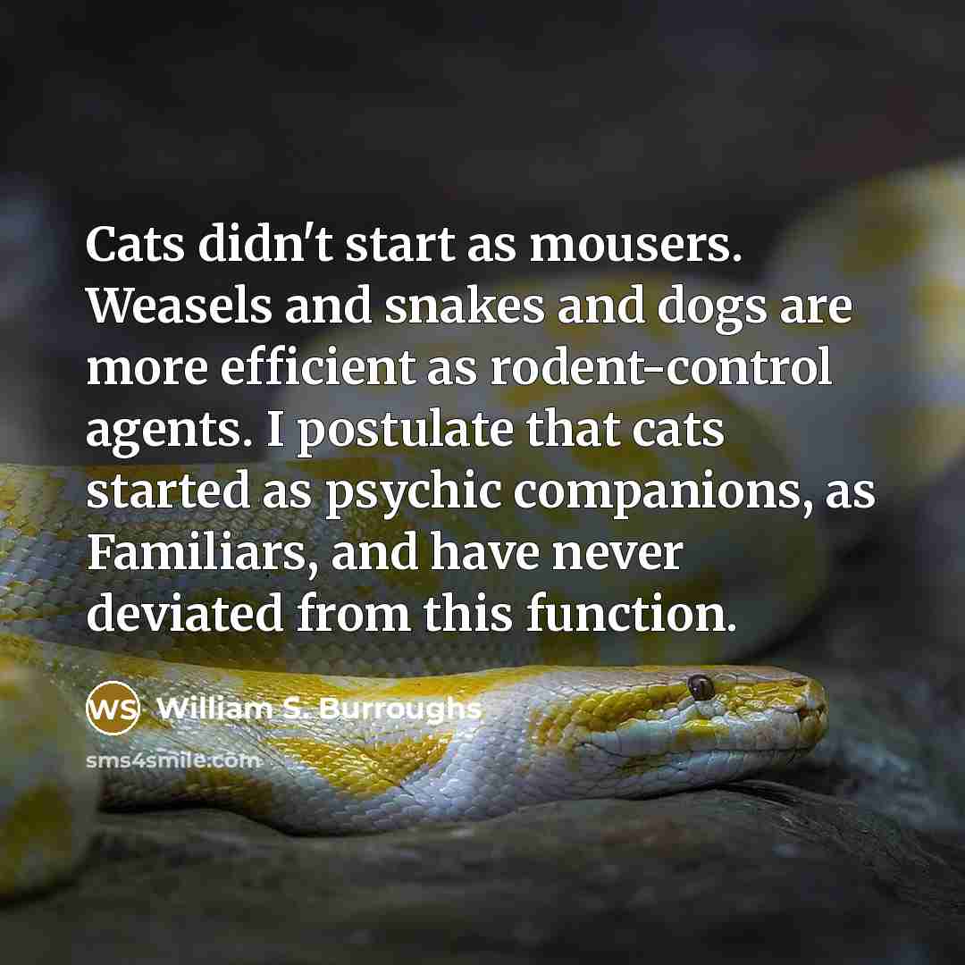 “Cats didn't start as mousers. Weasels and snakes and dogs…” quote by William S. Burroughs