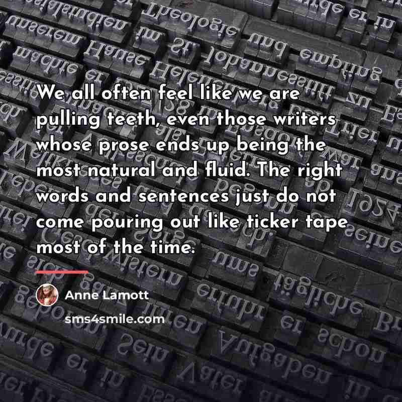 “We all often feel like we are pulling teeth, even…” quote by Anne Lamott