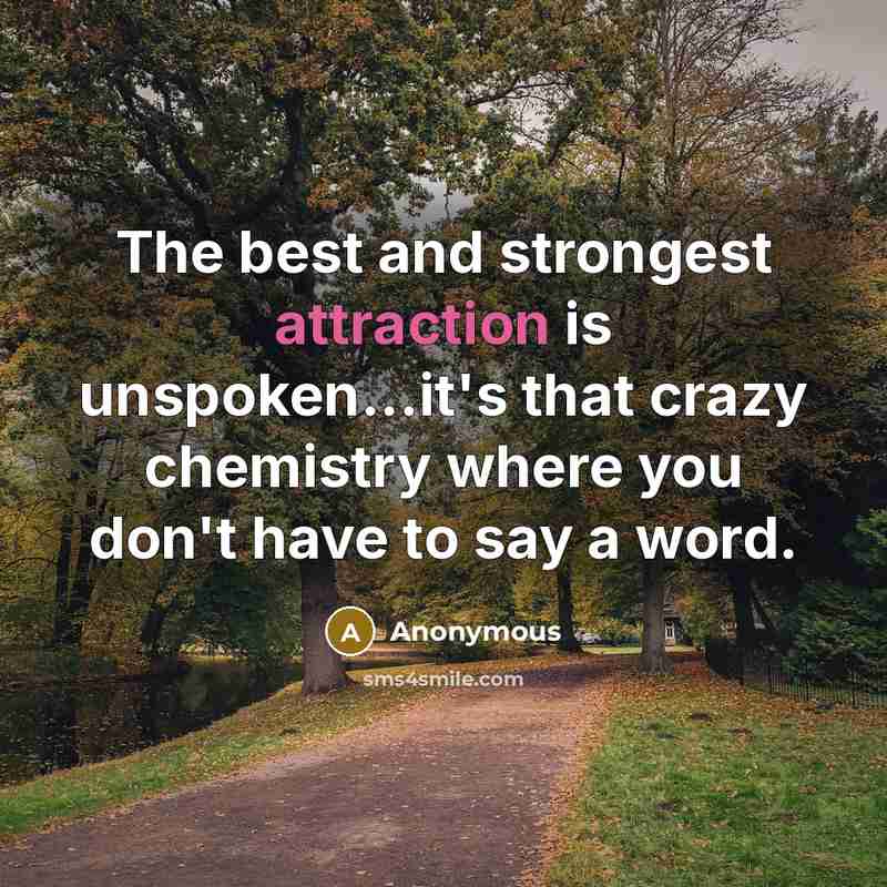 “The best and strongest attraction is unspoken...it's that crazy chemistry…” quote by Anonymous