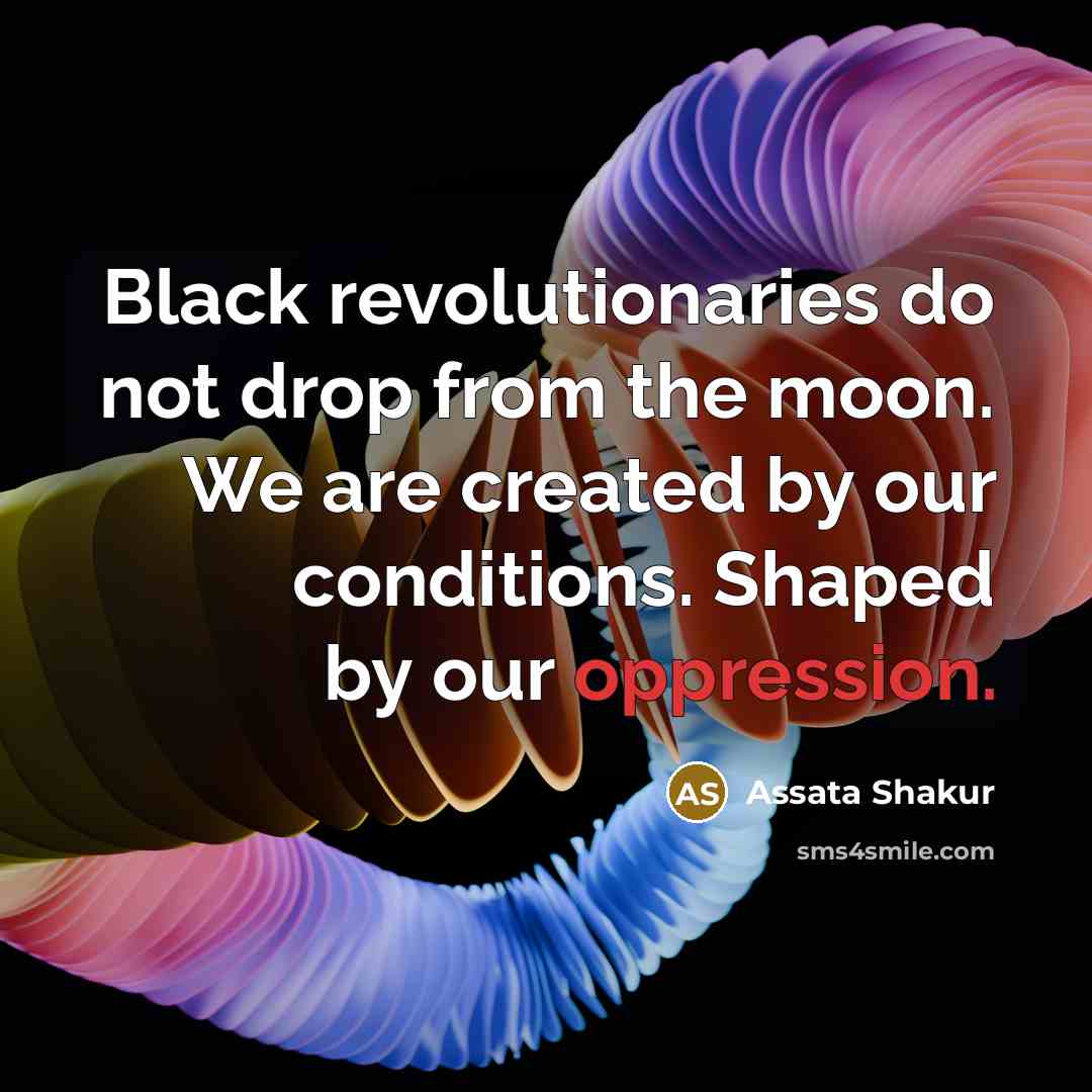 “Black revolutionaries do not drop from the moon. We are…” quote by Assata Shakur