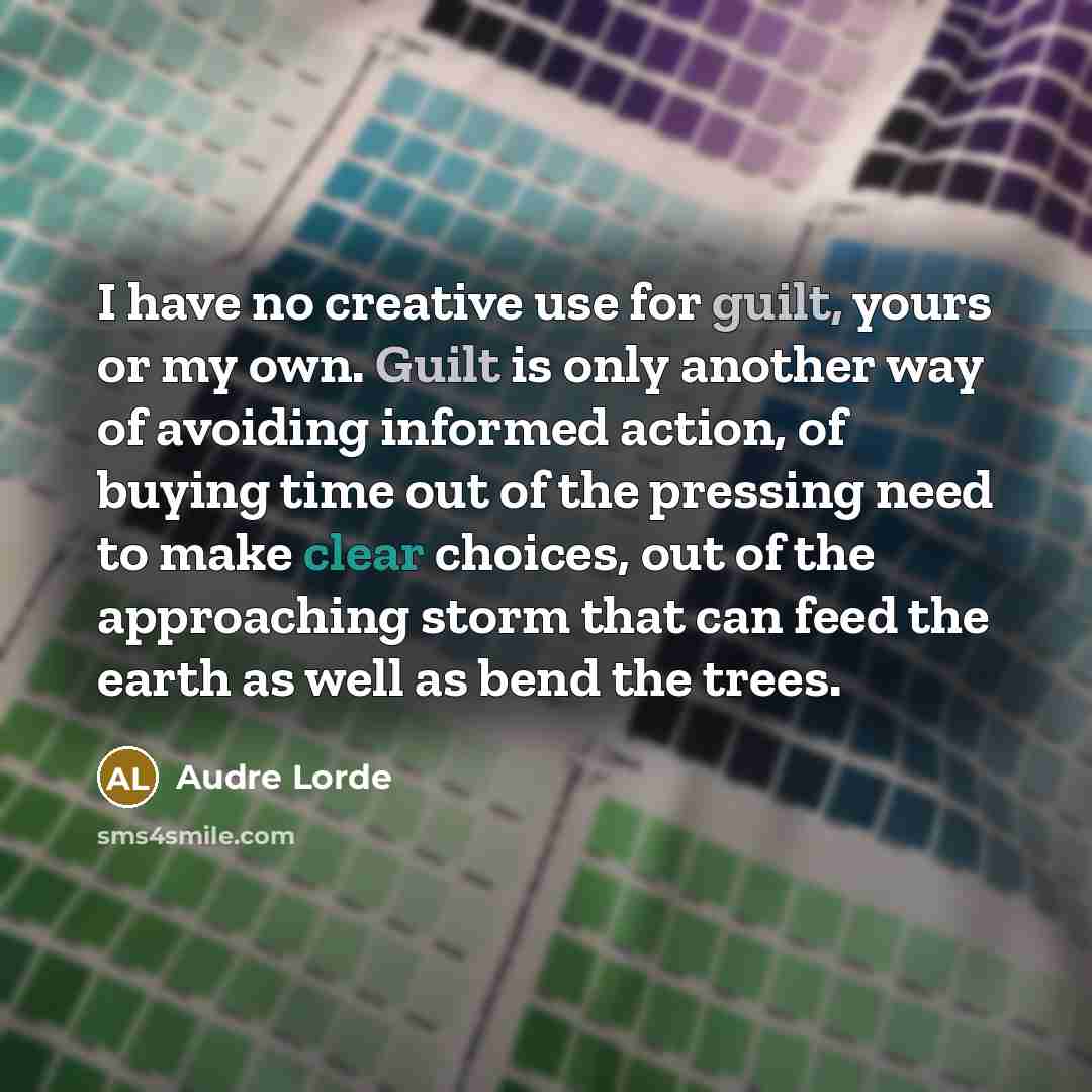 “I have no creative use for guilt, yours or my…” quote by Audre Lorde