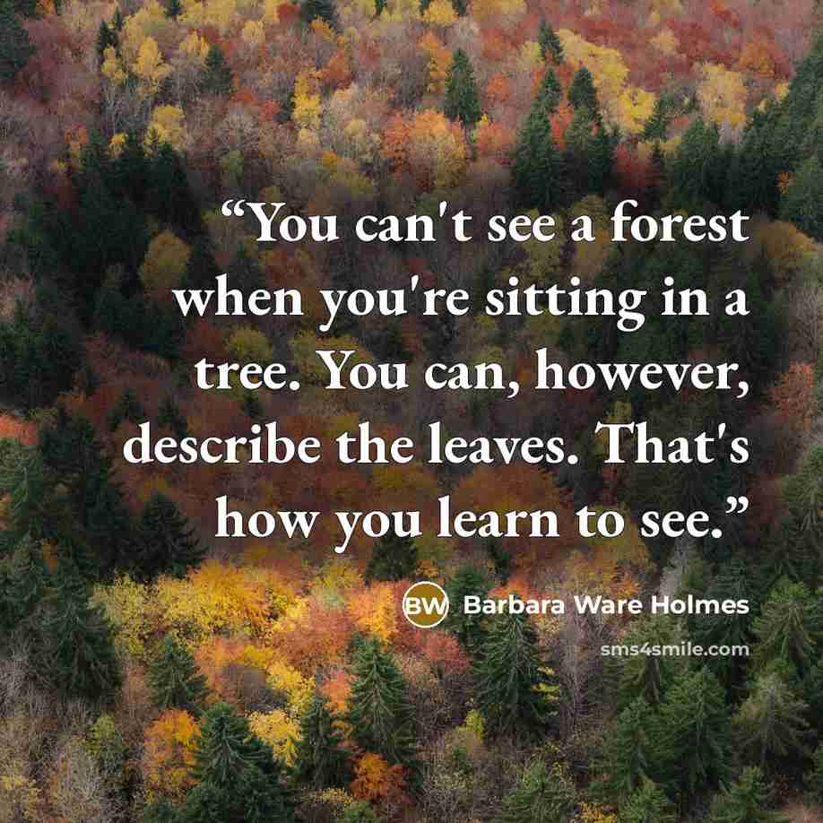 “You can't see a forest when you're sitting in a tree. You can, however, describe the leaves. That's how you learn to see.” quote by Barbara Ware Holmes