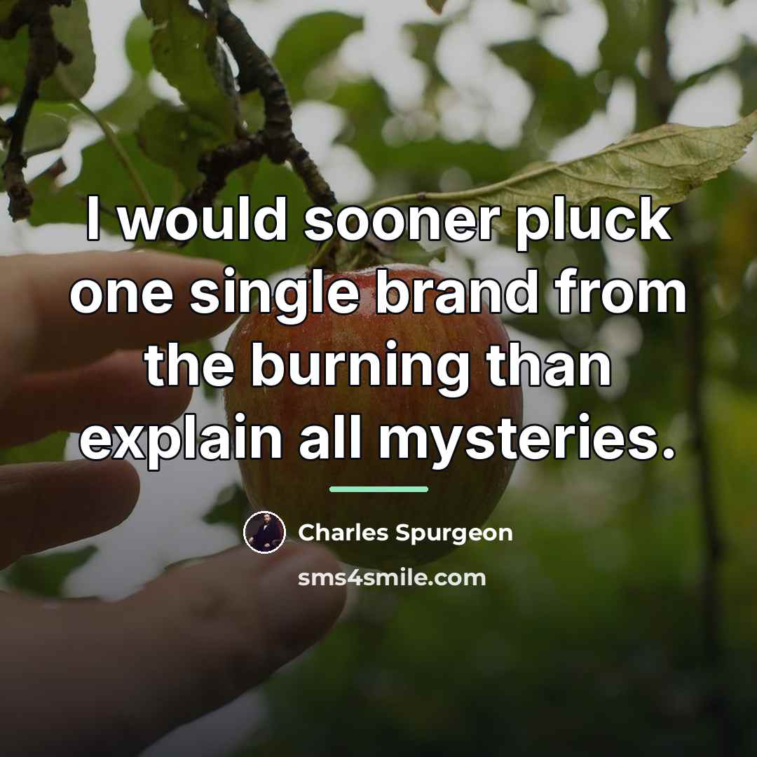 “I would sooner pluck one single brand from the burning…” quote by Charles Spurgeon