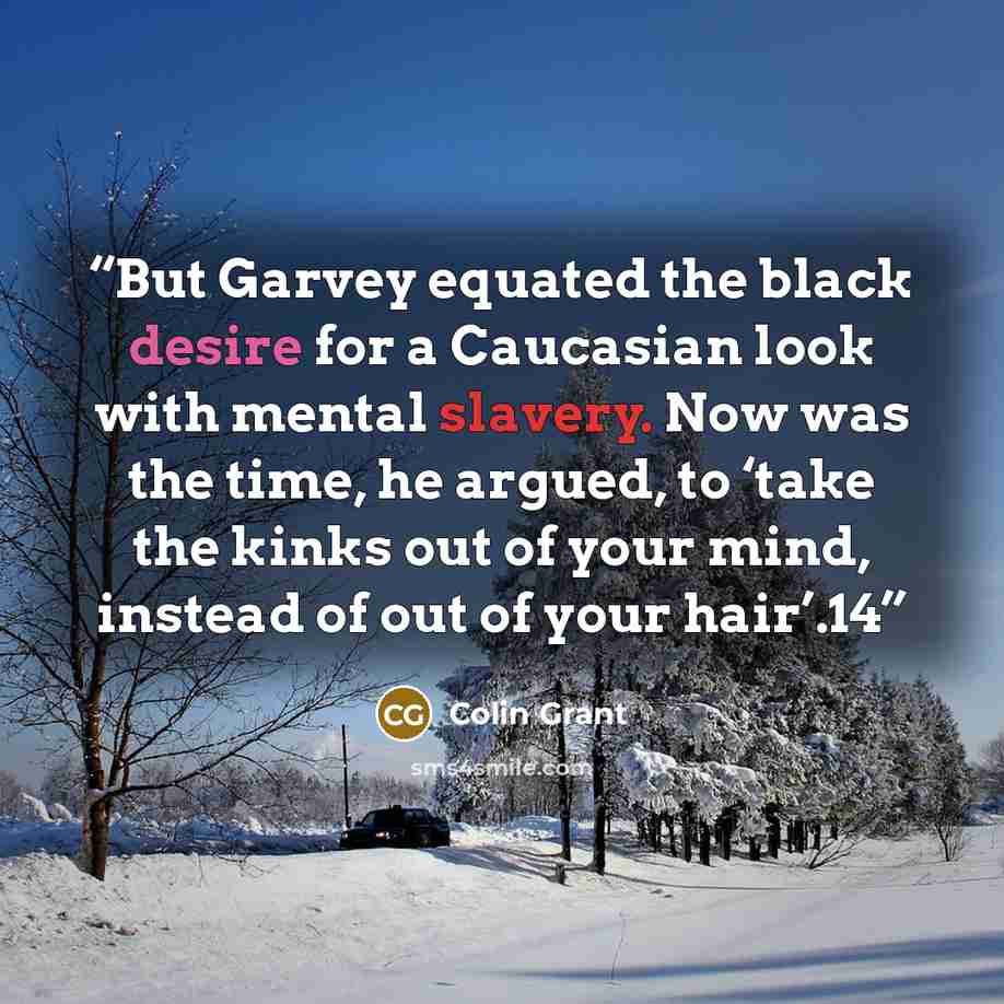 “But Garvey equated the black desire for a Caucasian look with mental slavery. Now was the time, he argued, to ‘take the kinks out of your mind, instead of out of your hair’.14” quote by Colin Grant