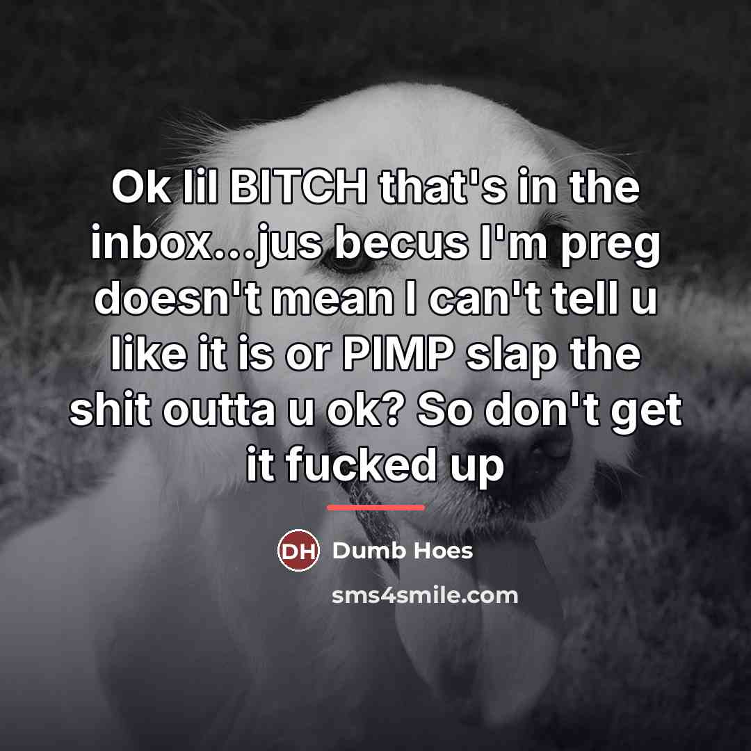 “Ok lil BITCH that's in the inbox...jus becus I'm preg…” quote by Dumb Hoes