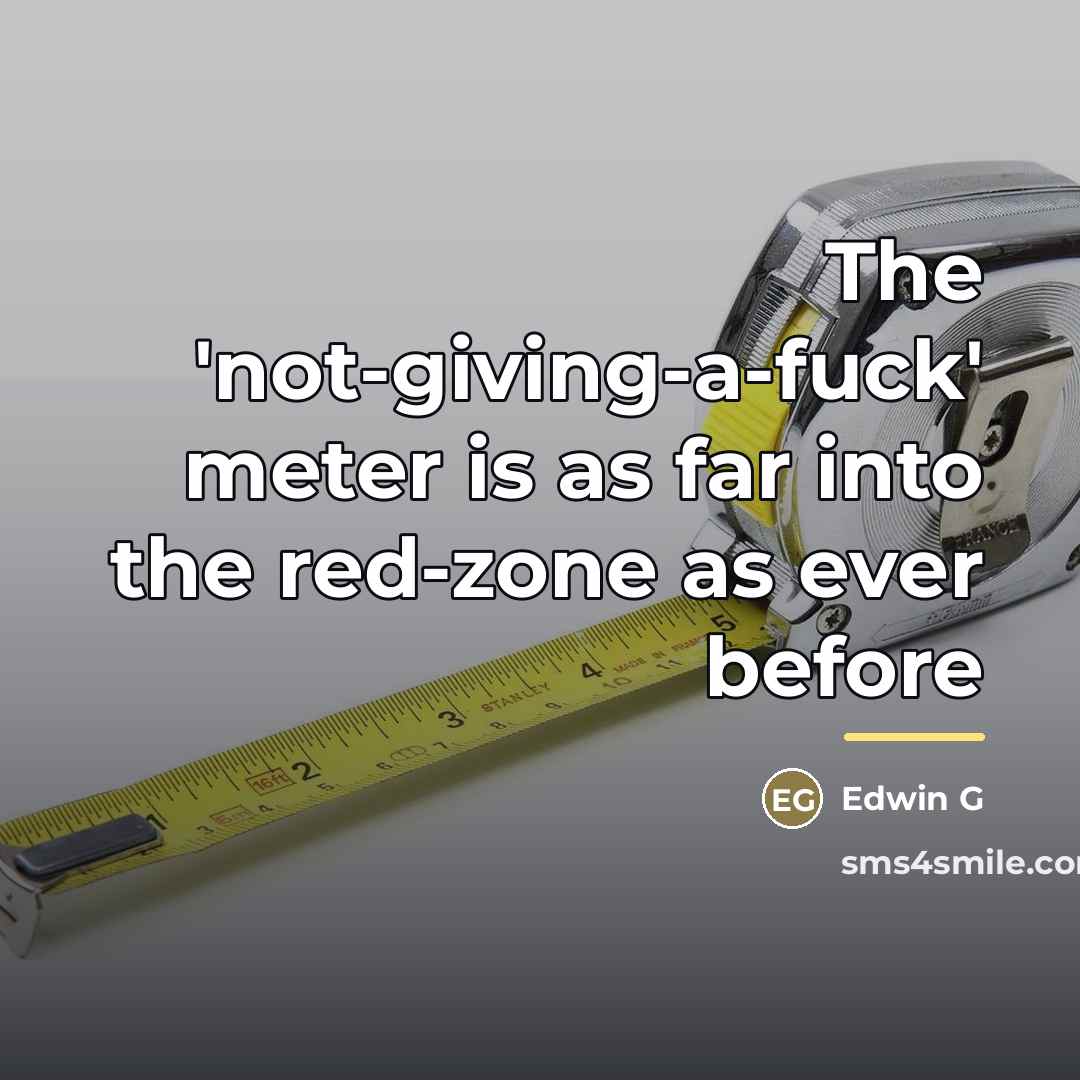 “The 'not-giving-a-fuck' meter is as far into the red-zone as…” quote by Anonymous