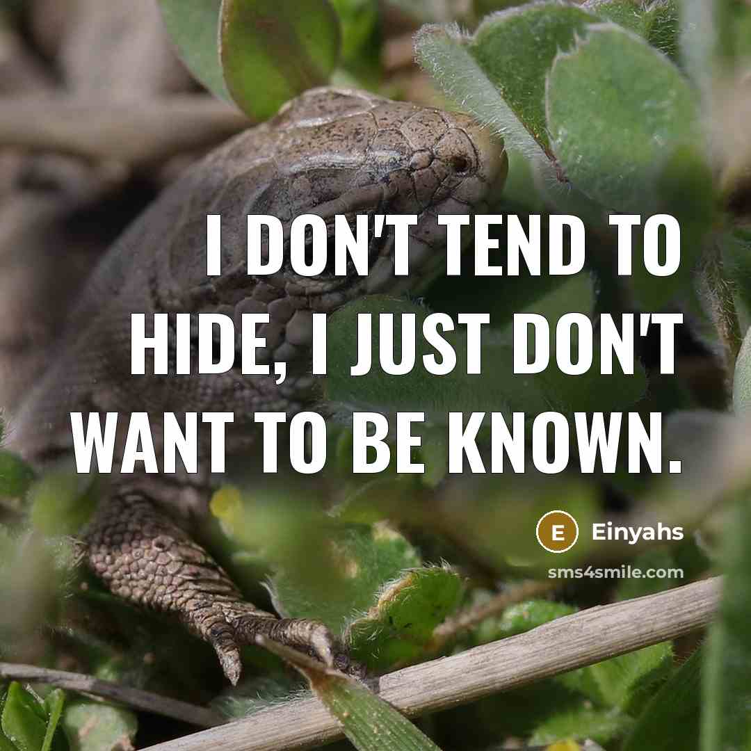 “I don't tend to hide, I just don't want to…” quote by Einyahs