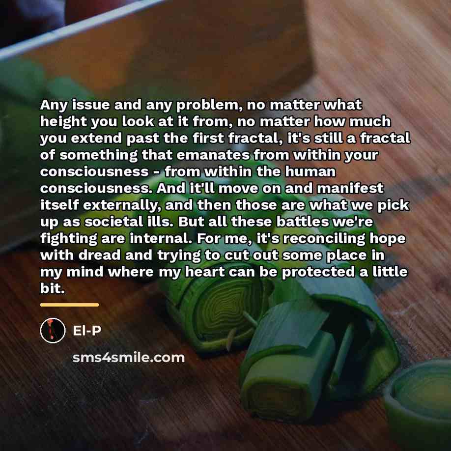“Any issue and any problem, no matter what height you…” quote by El-P