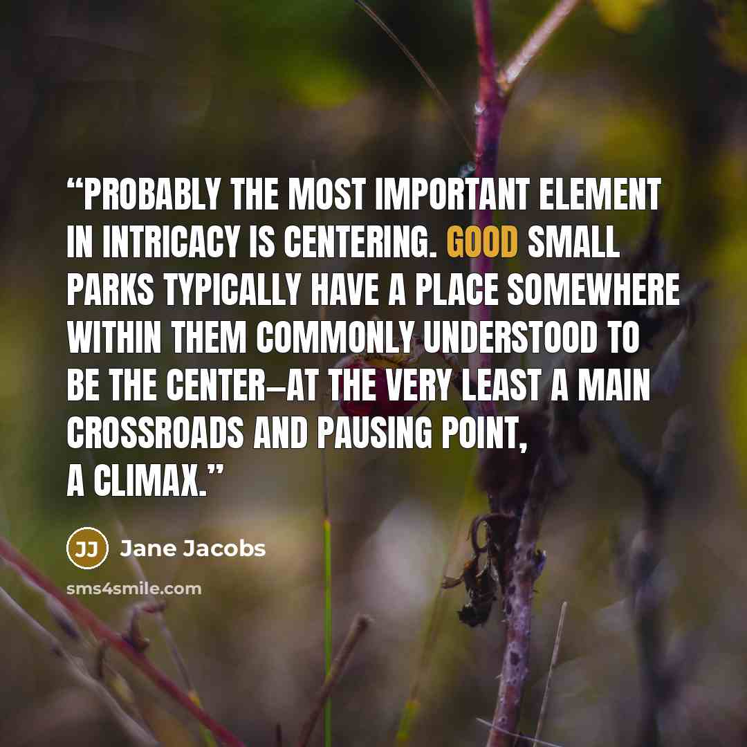 “Probably the most important element in intricacy is centering. Good small parks typically have a place somewhere within them commonly understood to be the center—at the very least a main crossroads and pausing point, a climax.” quote by Jane Jacobs