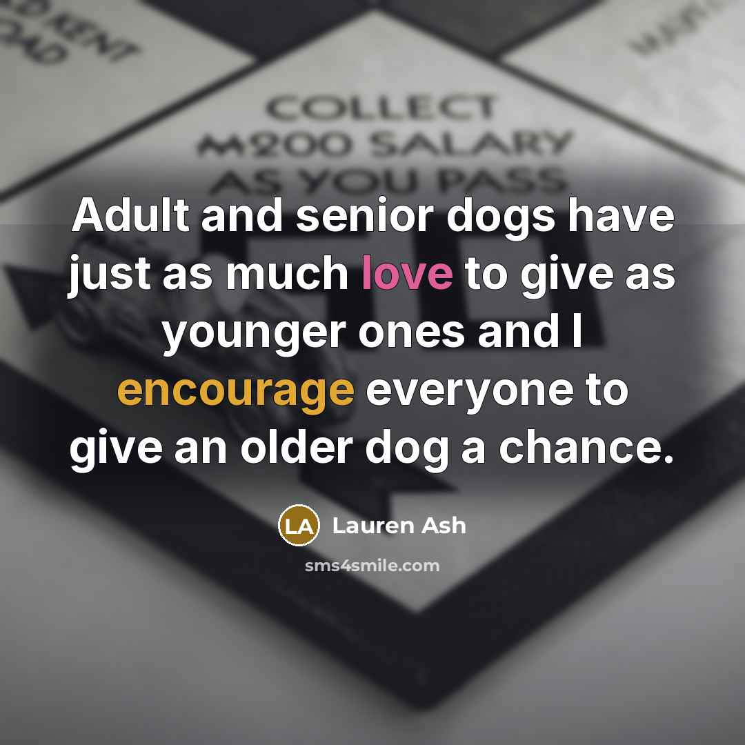 “Adult and senior dogs have just as much love to give as younger ones and I encourage everyone to give an older dog a chance.” quote by Lauren Ash