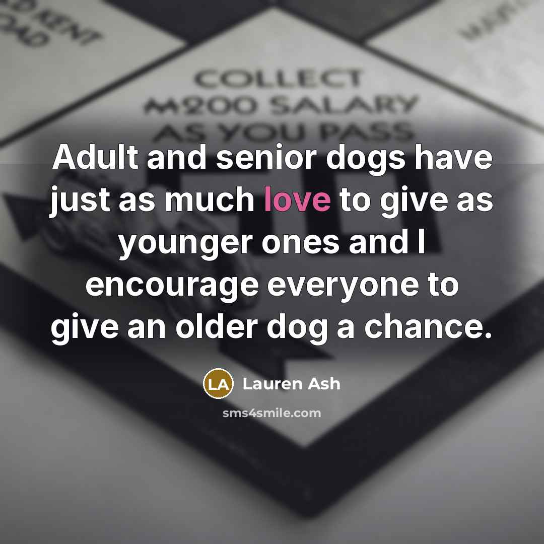 “Adult and senior dogs have just as much love to…” quote by Lauren Ash
