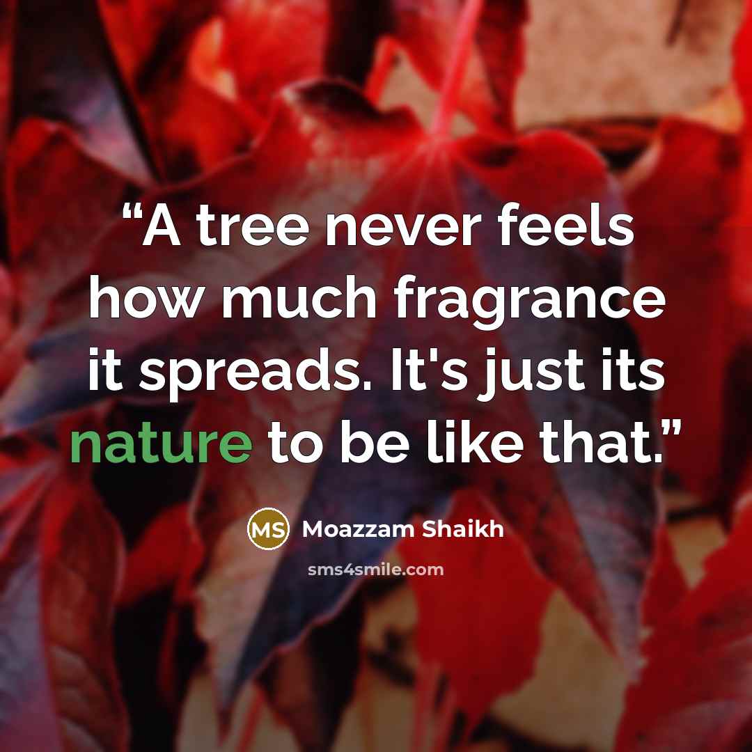 “A tree never feels how much fragrance it spreads. It's just its nature to be like that.” quote by Moazzam Shaikh