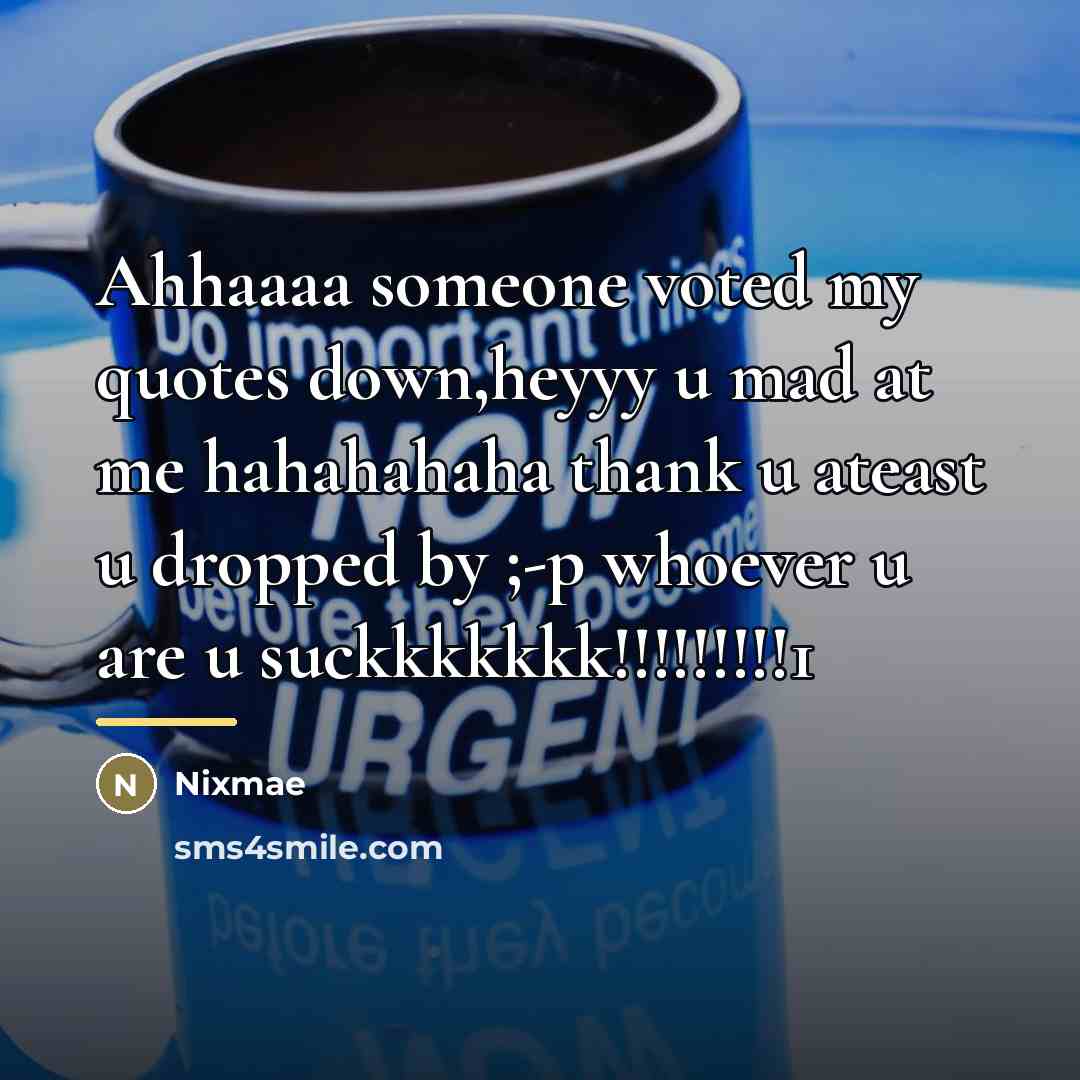 “Ahhaaaa someone voted my quotes down,heyyy u mad at me…” quote by Nixmae