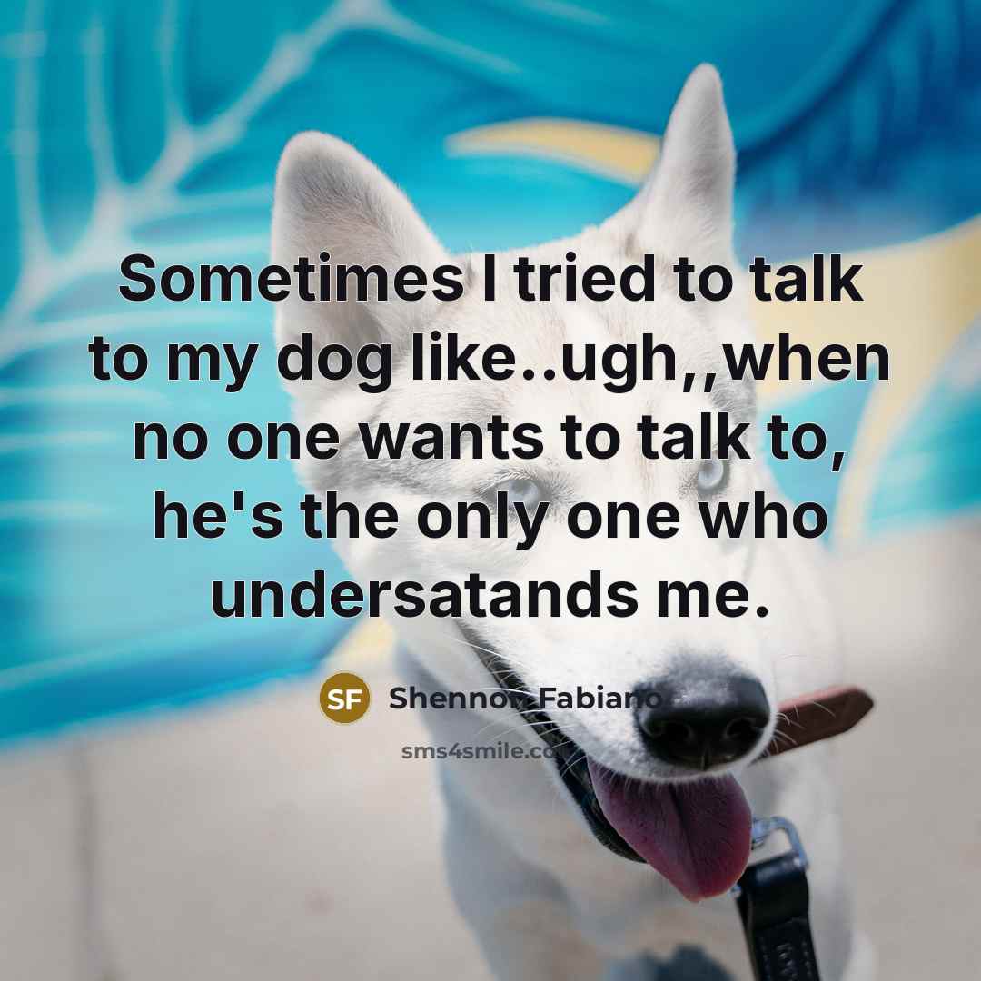 “Sometimes I tried to talk to my dog like..ugh,,when no…” quote by Shennon Fabiano